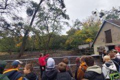 WhatsApp-Image-2025-10-30-at-15.32.03-6-1